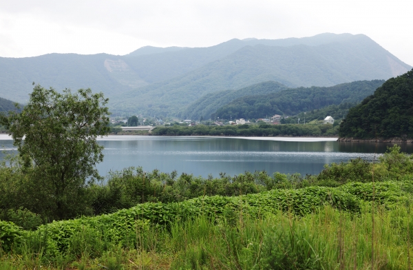 청천호 둘레길 모습