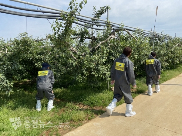 농업기술원 예찰요원이 합동으로 정밀예찰을 실시하는 모습
