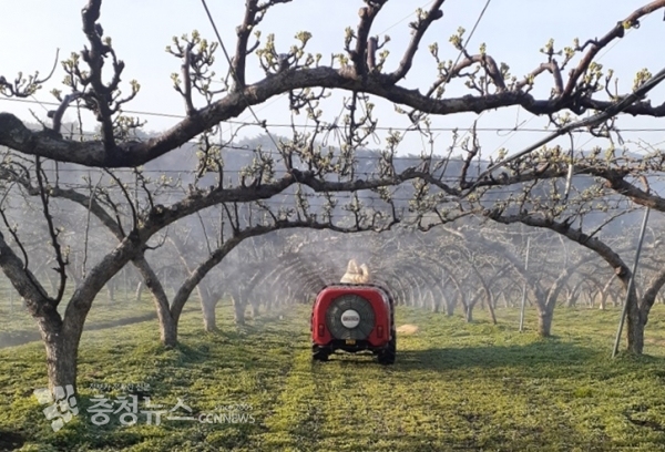 홍성군의 한 농가에서 방제작업을 하고 있다.