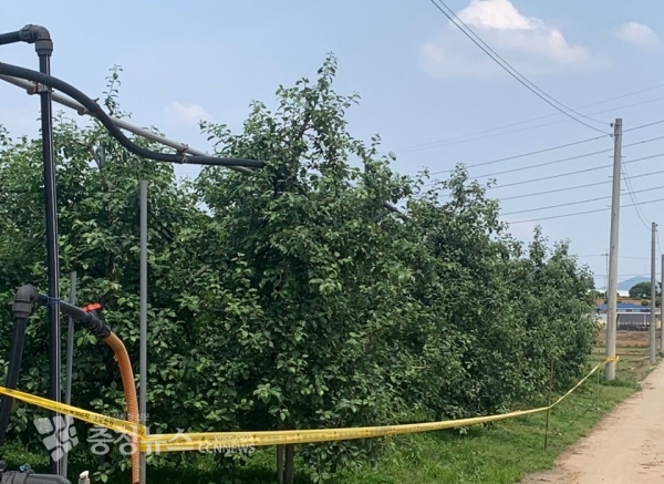 예산군 과수화상병 발생 과원 사진