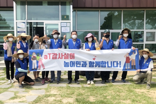 양파농가 일손 돕기 봉사 현장사진