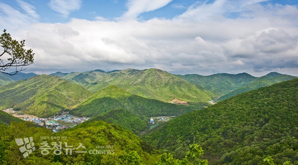 4계절 휴양지, 보령 성주산 자연휴양림