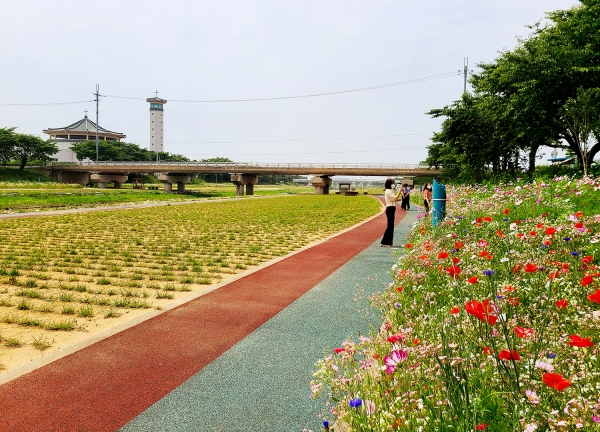 해미천 야생화(꽃)길