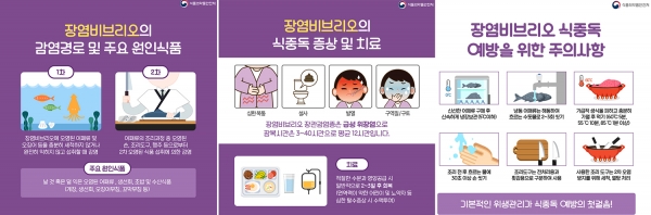 장염 비브리오균 발생주요 원인 및 예방법 포스터