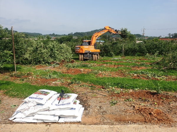 과수화상병 공적방제(매몰) 사진
