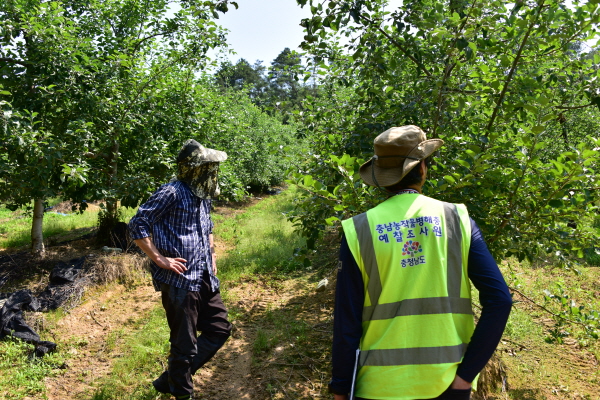 과수화상병 유입 방지 현장 예찰 모습