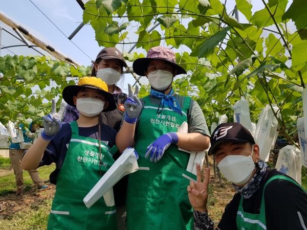 가족봉사 농활프로그램 진행 모습