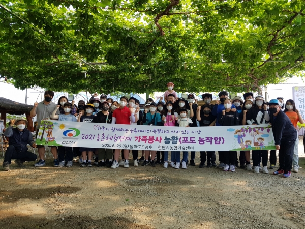 가족봉사 농활프로그램 진행 모습