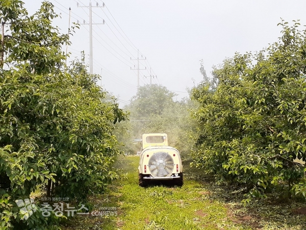 과수화상병 5차 방제약제 살포 장면