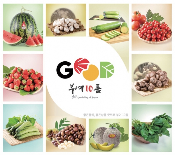 부여10품 홍보 이미지