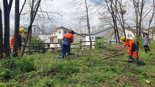 배방읍 지산공원 공공산림가꾸기사업 추진 사진