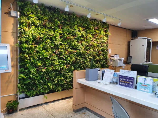 조성된 스마트가든