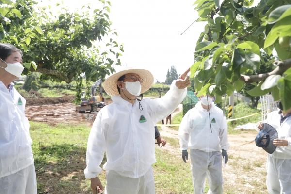 박상돈 천안시장이 지난 12일 천안 성환읍 성월리 공적방제 현장을 점검했다.