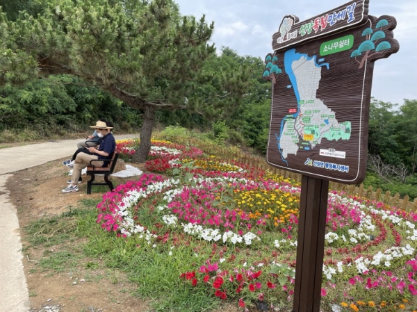 선장독립만세길 조성 사진