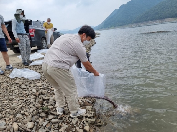 뱀장어 방류 사진