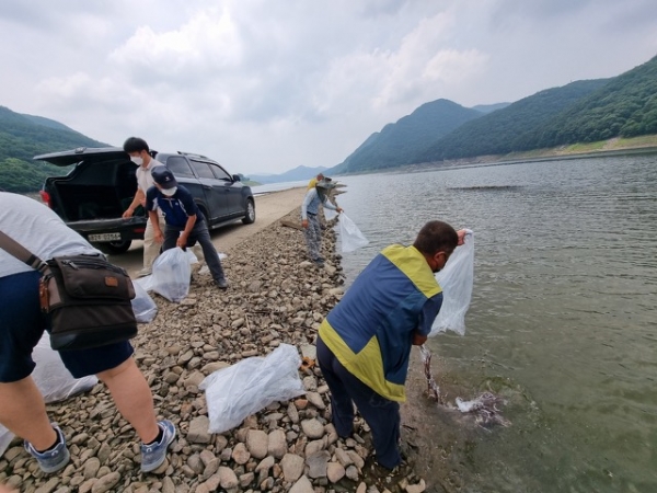 뱀장어 방류 사진