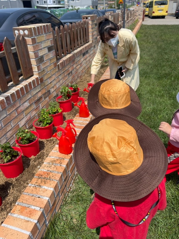 텃밭체험 프로젝트에 참여중인 아이들