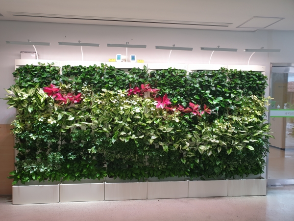 힐링체험관 내부 사진