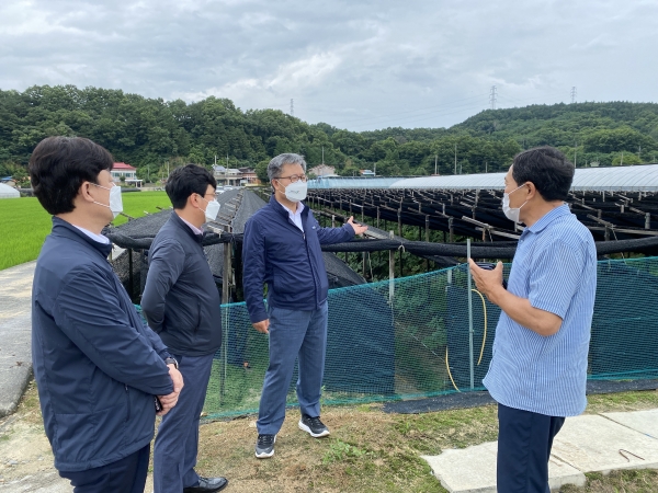 길정섭 충남세종농협본부장(가운데), 양환성 농협금산군지부장(왼쪽), 강상묵 백제금산인삼농협조합장(왼쪽 두 번째)이 금산군 부리면 인삼재배 농가를 찾아 장마철 호우피해 예방을 위한 사전 예찰활동