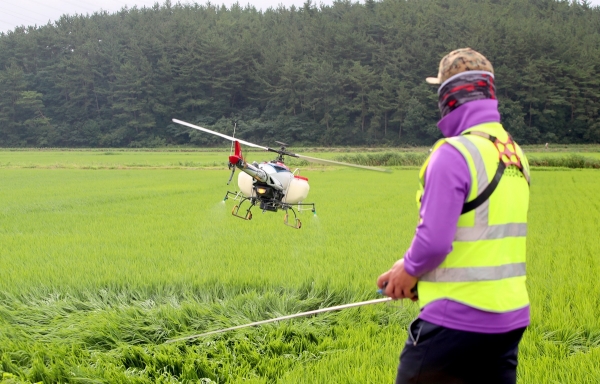 지난 2020년 항공방제 모습.