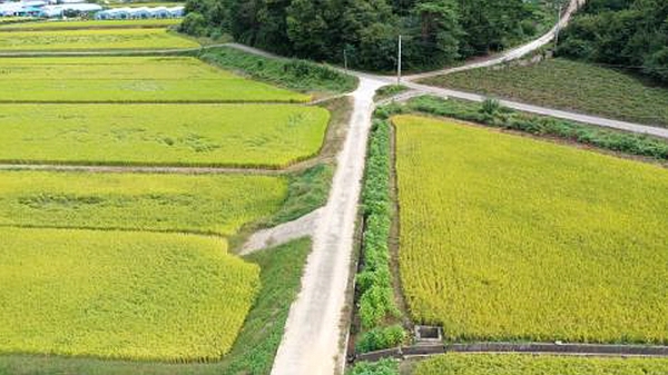 청양군 화성면 신정리 리도 201호 확장