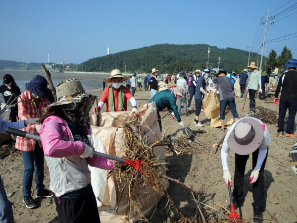 지난해 8월 금강 상류지역에서 떠내려온 쓰레기를 노박래 군수가 지역주민들과 함께 수거하고 있다.