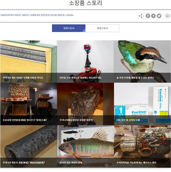 국립중앙과학관 소장품 스토리 페이지 캡쳐