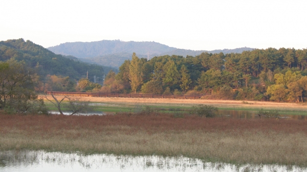 생태체험 거점 조성 본격 추진 (봉선저수지)