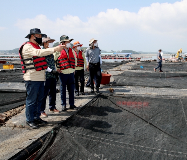 지난해 8월 안면읍의 가두리양식장을 방문한 가세로 태안군수.