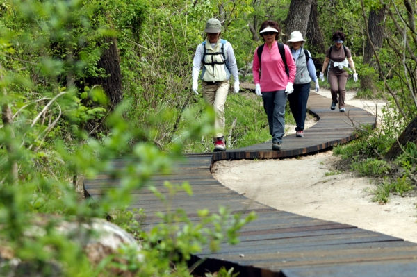 세천도시자연공원 등산로(자료사진)