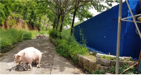 바이오커튼 설치 모습