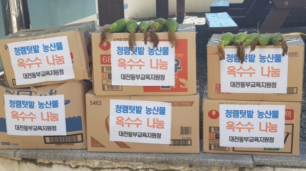 청렴 텃밭에서 경작한 농작물을 문화1동 행정복지센터에 기부 모습