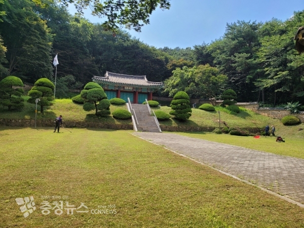 충령사 내 가이즈카 향나무를 제거하는 모습