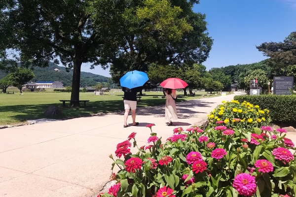 관광객이 양심 양산을 쓰고 해미읍성을 산책하는 모습