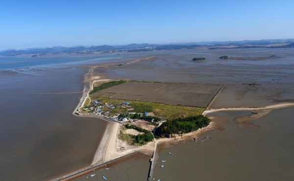 한국의 갯벌, 유네스코 세계자연유산 등재 (유부도)