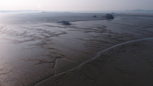 한국의 갯벌, 유네스코 세계자연유산 등재 (장항)