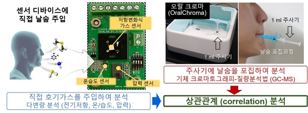 센서 디바이스에서 호기가스 직접 측정 결과 및 오랄크로마를 통한 정량분석 결과의 상관관계 분석 모식도