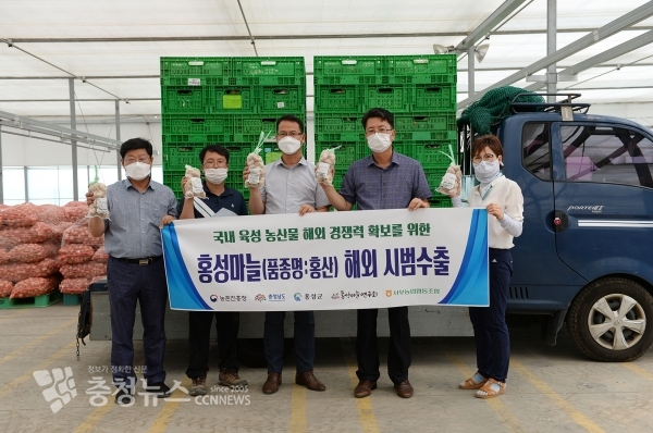 홍성마늘 해외 시범수출