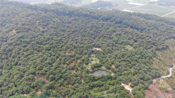 부여군 밤 재배농가(장암면 지토리 일원)