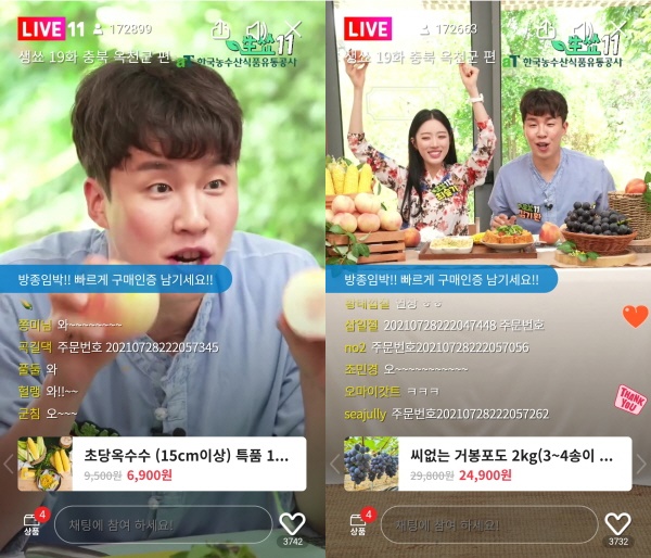 충북 옥천군 특집 라이브커머스 방송모습