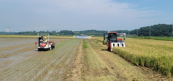 당진시 국내 최대 규모 빠르미쌀 수확과 이앙 현장 사진(왼쪽 이앙기 양승조 도지사 오른쪽 콤바인 어기구 국회의원)