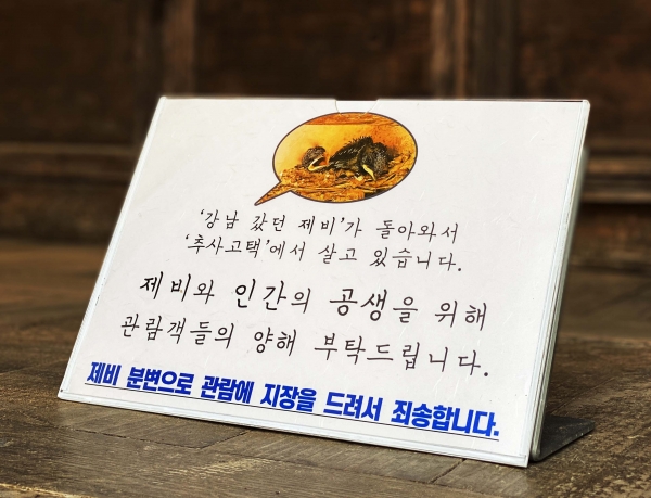 제비로 인한 관람객의 양해를 부탁드리는 안내판