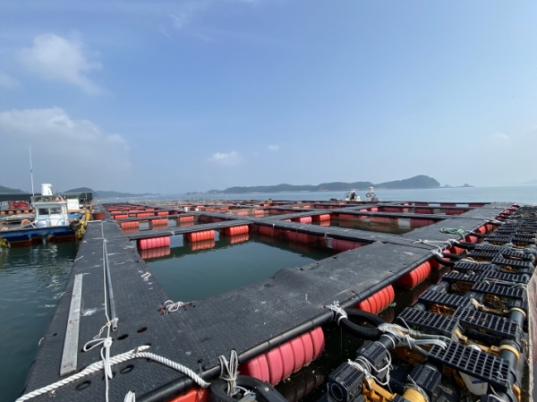 가두리 양식장 사진