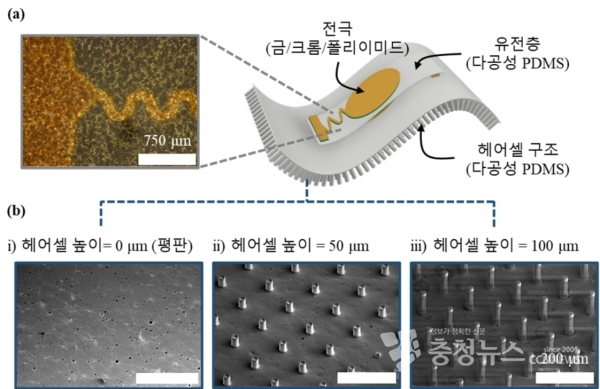 다공성 헤어셀 구조의 맥파 센서