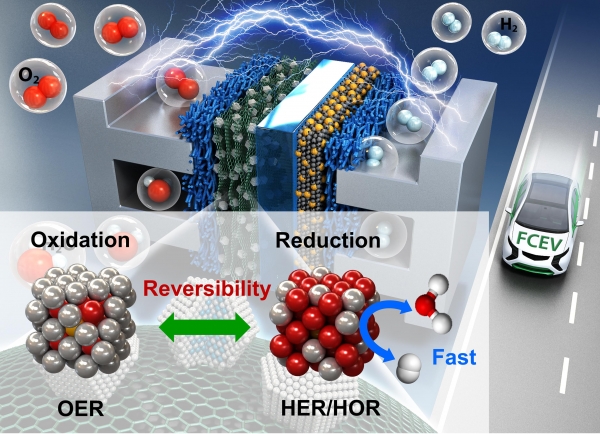 결정성 이리듐 나노 촉매 표면에서의 비화물/비산화물 가역성 원리 설명 개요도OER : Oxygen Evolution Reaction, 산소 발생 반응HER : Hydrogen Evolution Reaction, 수소 발생 반응