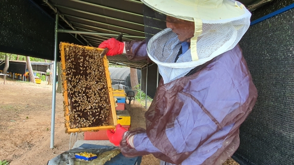 당진양봉산업 전문인력 양성 위한 실습양봉장 사진