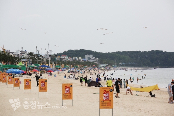 대천해수욕장 개장 첫날 모습