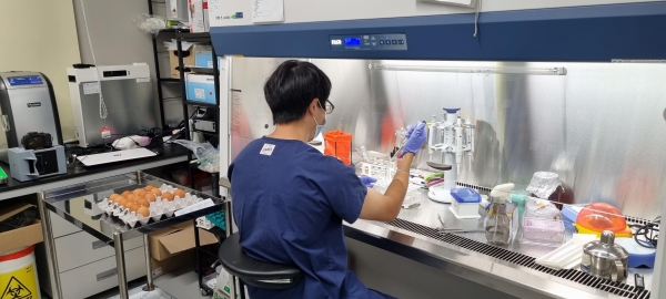 세종시보건환경연구원이 관내 산란계 농가를 대상으로 한 식중독 위해균 살모넬레 3종 등에 대해 계란 안전성 검사를 진행하고 있다.