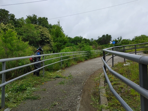 예초 현장 모습