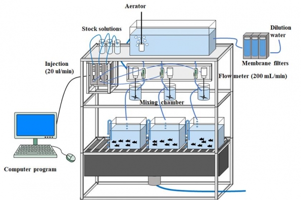 생물농축시험을 위한 유수식 장치